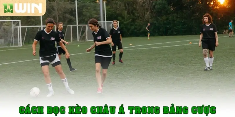 Cách đọc kèo châu Á trong bảng cược