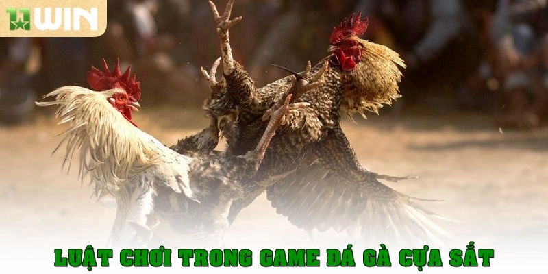 Luật chơi trong game đá gà cựa sắt 